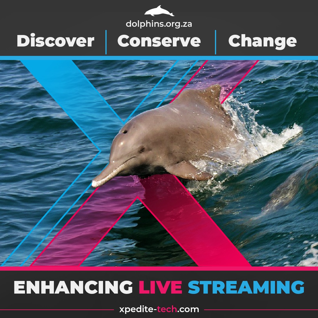 Xpedite Technologies Powers Humpback Dolphin Research Initiative